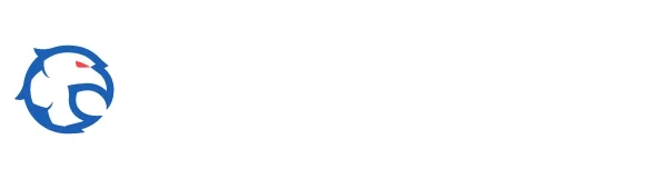 flygtmex.com.mx