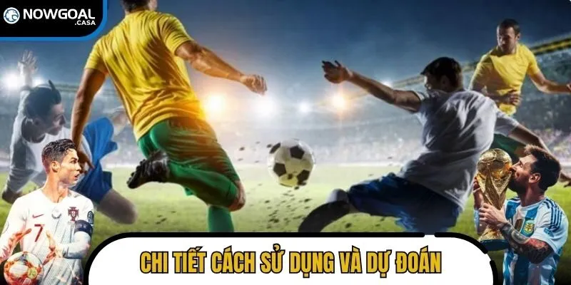Chi tiết cách sử dụng và dự đoán dựa theo kết quả trận đấu